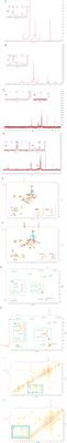 Structural features and antioxidant activities of polysaccharides from different parts of Codonopsis pilosula var. modesta (Nannf.) L. T. Shen